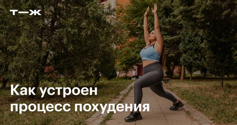  Влияние углеводов в мантах на процесс похудения 