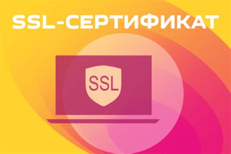  Генерация и установка SSL-сертификата для безопасных HTTPS-подключений 
