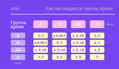  Гены, ответственные за группу крови 