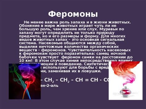  Глаза и химия: роль феромонов и притяжения 