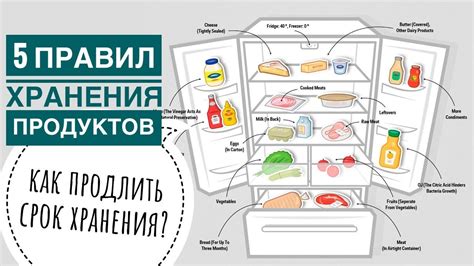  Использование влагопоглотителей внутри холодильника 