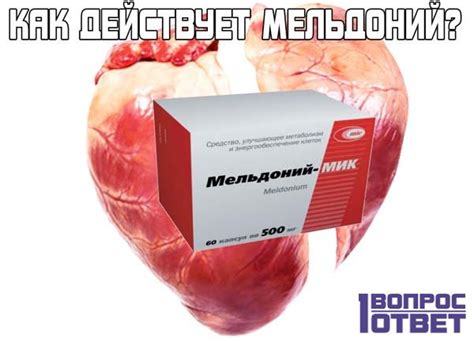  Как действует препарат 