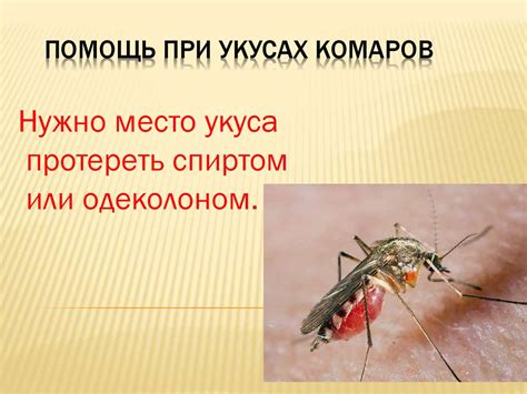  Как избежать инфекций при укусах комаров: важные меры предосторожности 