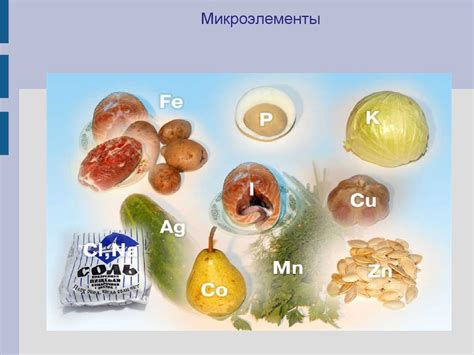  Как определить наличие Е 330 в продуктах 