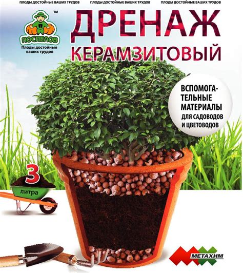  Ограничения и проблемы, связанные с применением яичной скорлупы в качестве дренажа для растений 