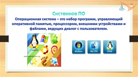  Основные элементы программного обеспечения кассовой системы "Пятерочки" 