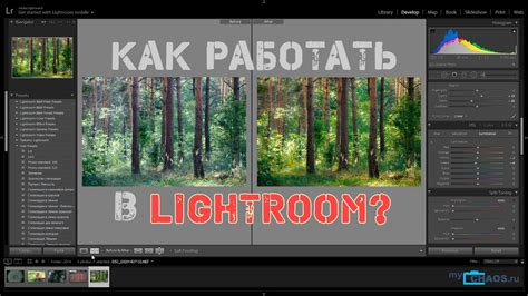  Основы черно-белой обработки фотографий в Lightroom 