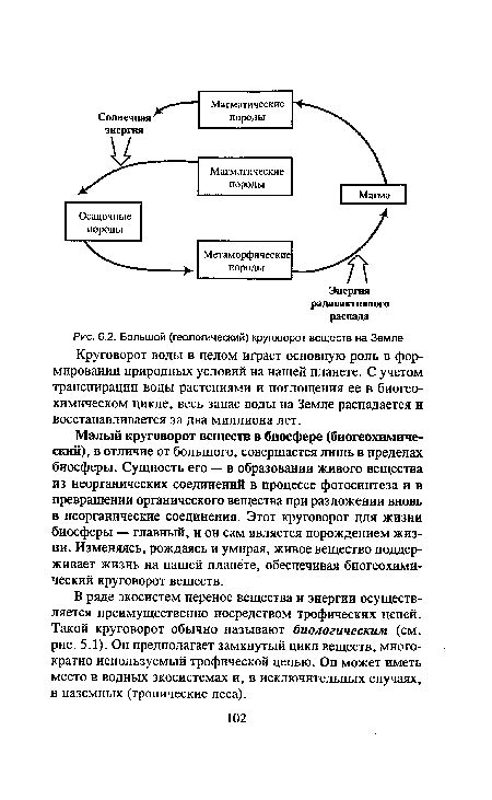  Ощущения и разум: взаимосвязь в формировании нашей позиции
