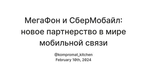  Партнерство и сотрудничество: Мегафон и операторы связи в Республике Беларусь 