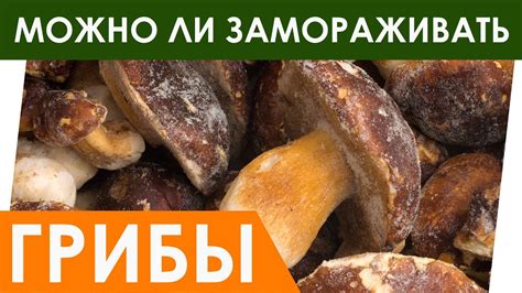  Подготовка грибов перед томлением: 