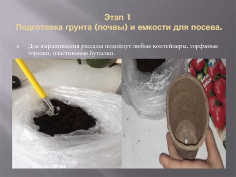  Подготовка почвы и емкости для выращивания плюща 