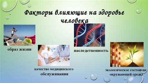  Понятие креатинина и его важность для здоровья человека 