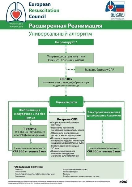  Понятие реанимационного дыхания 