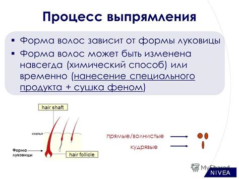  Предупреждение возвратных волос после применения специального продукта 