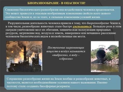  Роль монархической семьи в сохранении светской природы Англии 