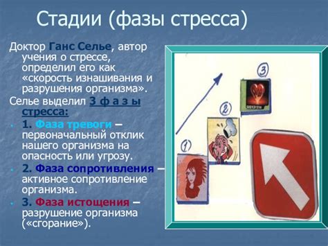  Способы преодоления преждевременной фазы среднего возраста 