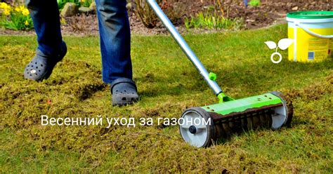  Уход за газоном 