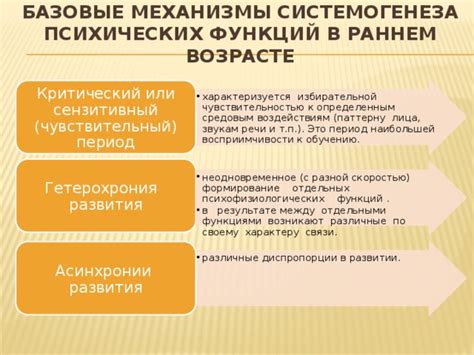 16 неделя: период наибольшей восприимчивости к появлению токсических симптомов