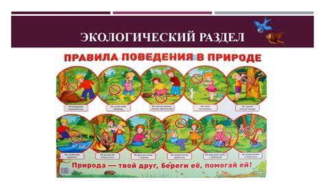 Раздел 2: Правила поведения